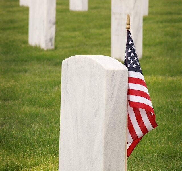 A Guide to the History of the Military Flags (1)