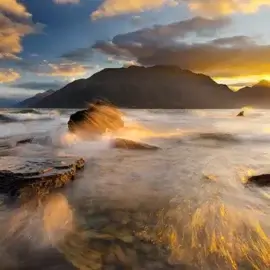 The Power of Thumbnails in the Modern Digital Landscape