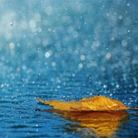 Di That Xa Nguyen Si Kha • Rainy Day Memories • 2023