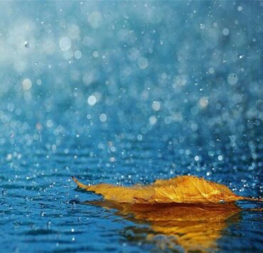 Di That Xa Nguyen Si Kha • Rainy Day Memories • 2023