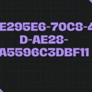 D3e295e6-70c8-411d-ae28-a5596c3dbf11