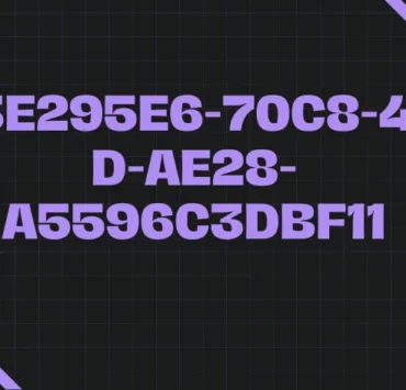 D3e295e6-70c8-411d-ae28-a5596c3dbf11