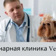 Ветеринарная Клиника Vetcitypets