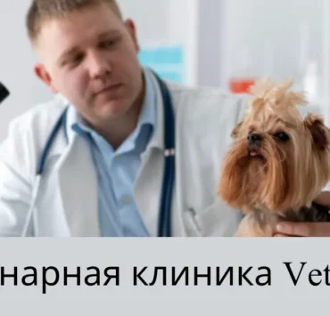 Ветеринарная Клиника Vetcitypets