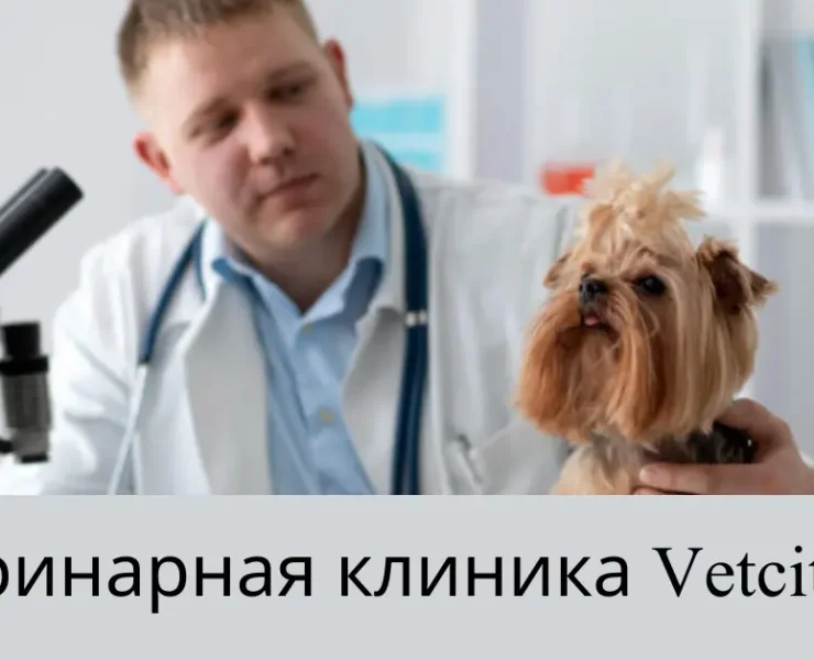 Ветеринарная Клиника Vetcitypets