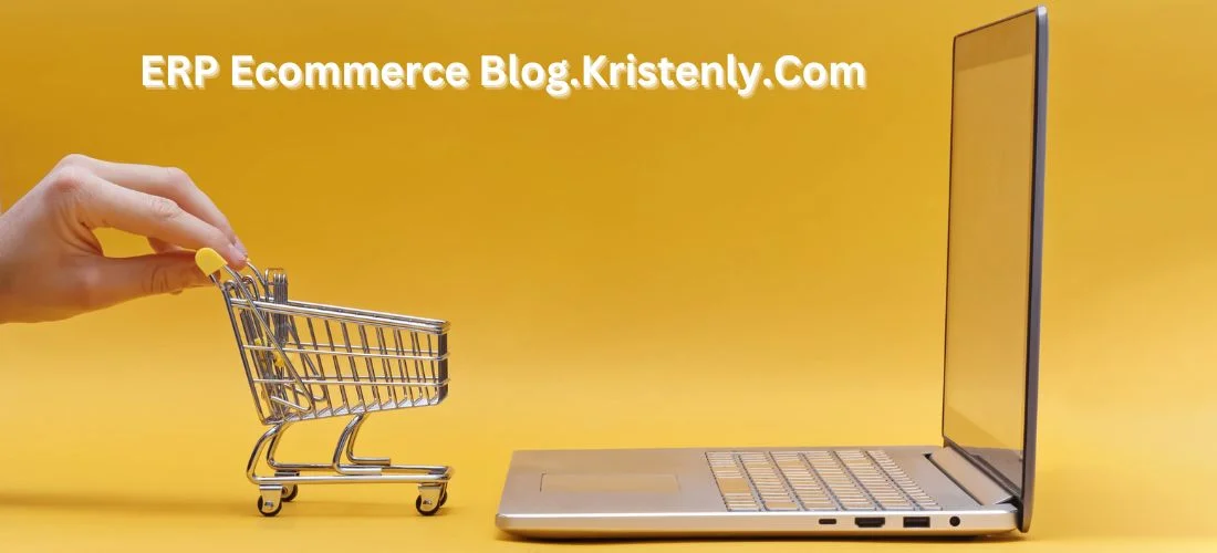 Erp Ecommerce Blog.kristenly.com