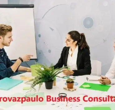Pedrovazpaulo Business Consultant