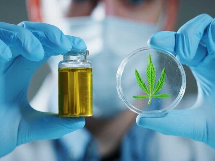 Esrar Kanda Çıkar Mı