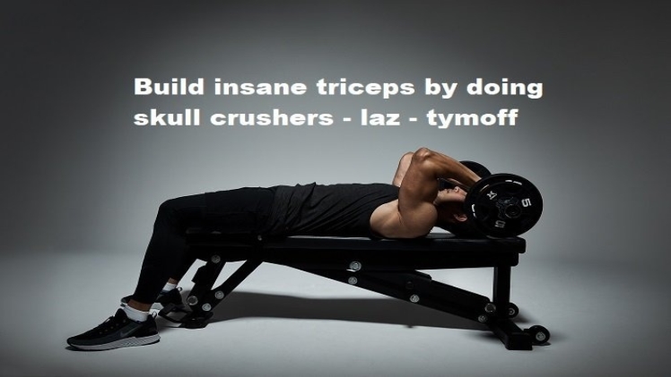build insane triceps by doing skull crushers - laz - tymoff