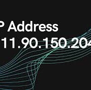 111.90.150.204