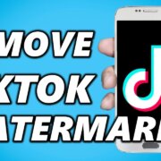 Remove Tiktok Watermark