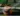 tophillsport com