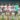 اخبار الزمالك