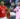 ماتش الاهلي بث مباشر