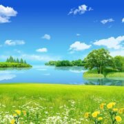 Nature:5nor5a-vhpg= Background