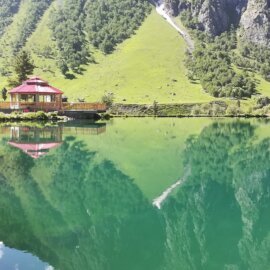 Domellawusag