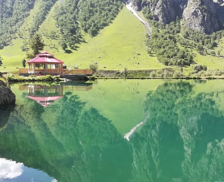 Domellawusag